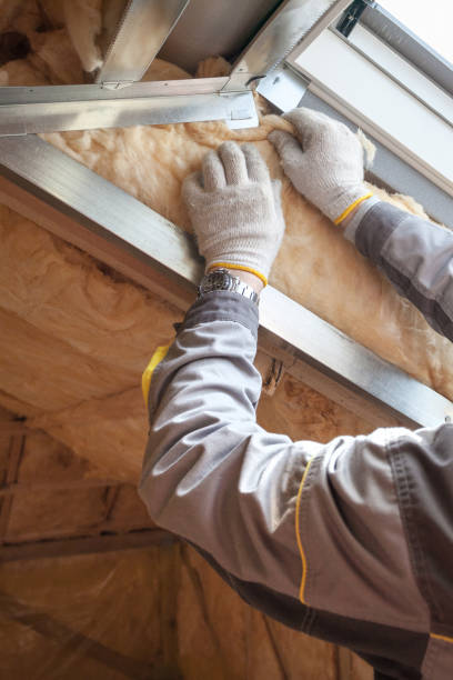 Best Cellulose Insulation in Stockton, IL
